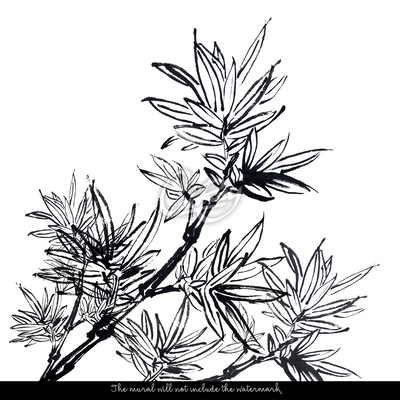 Fotobehang Zwarte bamboe