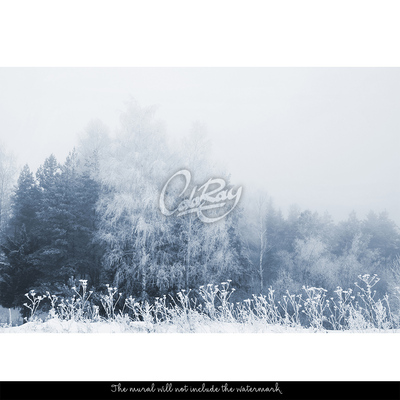 Fotobehang Bomen onder een donsdeken