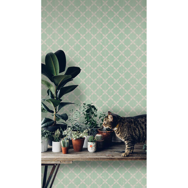 Fotobehang Munt verzachtend