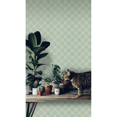 Fotobehang Munt verzachtend