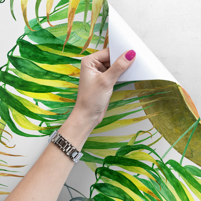 Fotobehang Tropische rijkdommen van de natuur