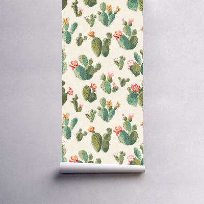 Fotobehang Cactushoek