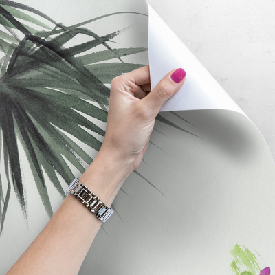 Fotobehang Een wandeling door de tropische palmenweide