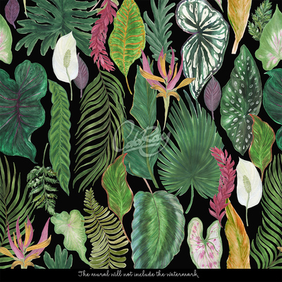 Fotobehang Tropische jungle 's nachts