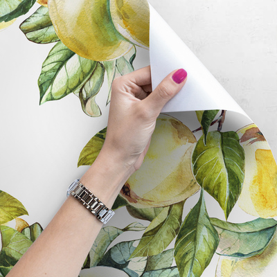 Fotobehang Schattige appels