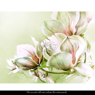 Fotobehang De magie van Magnolia