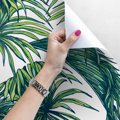 Fotobehang De sierlijke palm