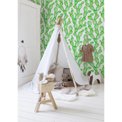 Fotobehang Groenachtige Cactus