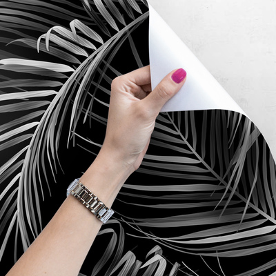 Fotobehang Palmbladeren in negatief