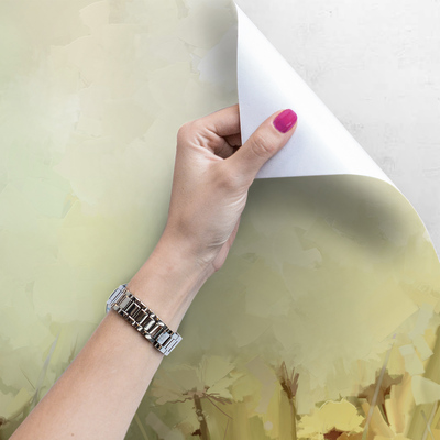 Fotobehang Mistige ochtend in de weide