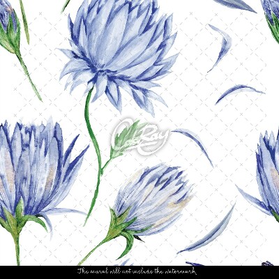 Fotobehang Een weide vol Habras