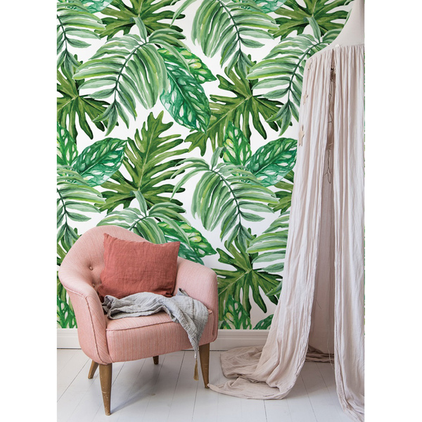 Fotobehang Jungle Monstera