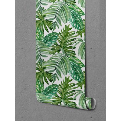 Fotobehang Jungle Monstera