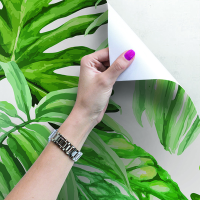 Fotobehang Jungle Monstera