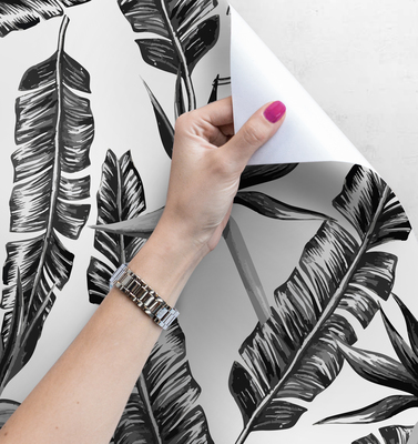 Fotobehang Kauwveren