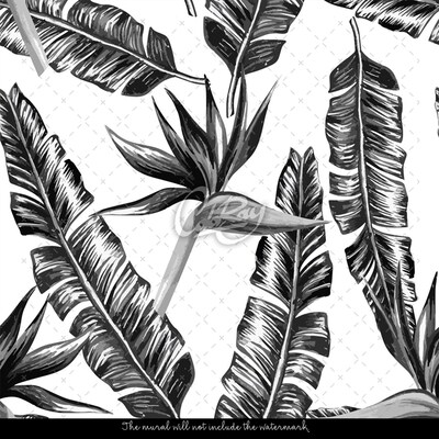 Fotobehang Kauwveren