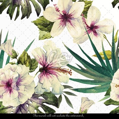 Fotobehang Hibiscusbloemen