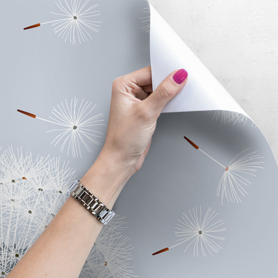 Fotobehang Paardenbloemen Vliegers