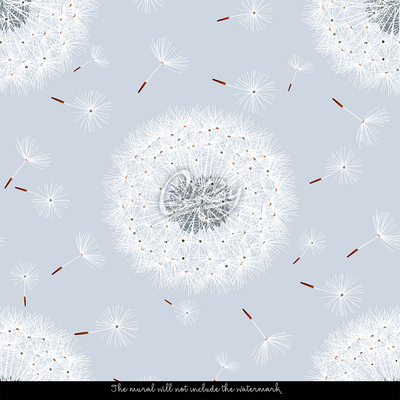 Fotobehang Paardenbloemen Vliegers