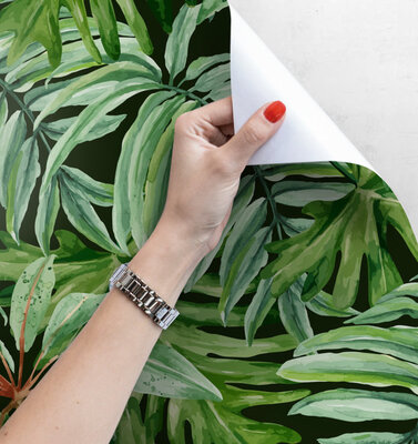 Fotobehang Equatoriaal bos