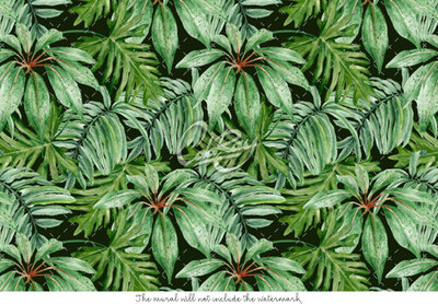 Fotobehang Equatoriaal bos