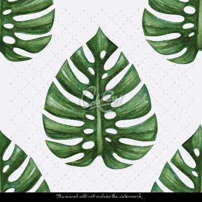 Fotobehang Monstera Leaky