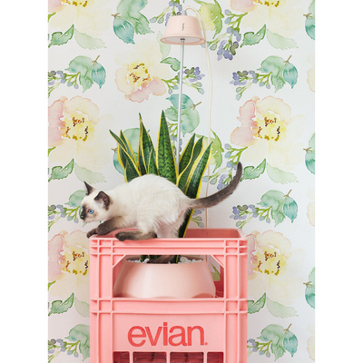 Fotobehang Aquarel Mode