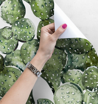 Fotobehang Stekelige rijkdom