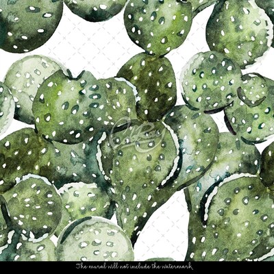 Fotobehang Stekelige rijkdom