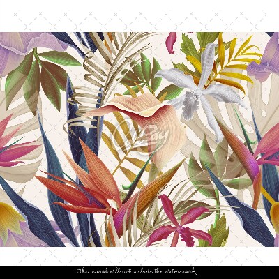 Fotobehang Tropische regenboogvegetatie