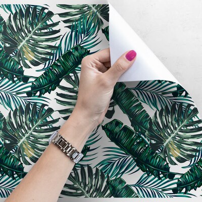 Fotobehang In de schaduw van de majestueuze Monstera