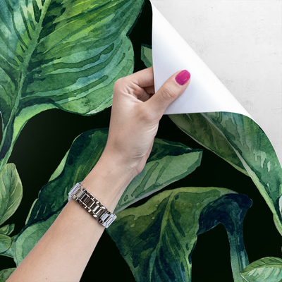 Fotobehang Nacht in het Betoverde Bos