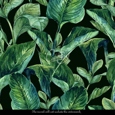 Fotobehang Nacht in het Betoverde Bos