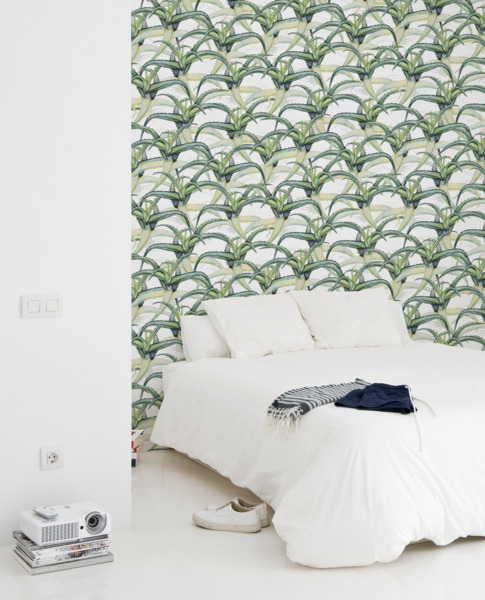 Fotobehang Agaveplantage