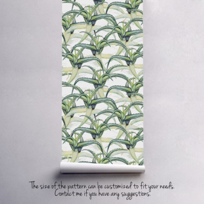 Fotobehang Agaveplantage