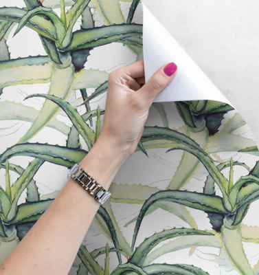 Fotobehang Agaveplantage