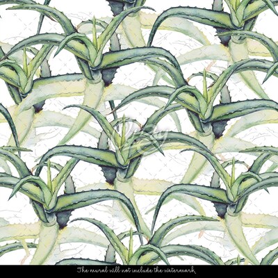 Fotobehang Agaveplantage