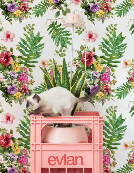 Fotobehang Veelkleurig boeket