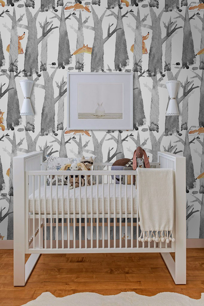 Fotobehang Fox Adventures