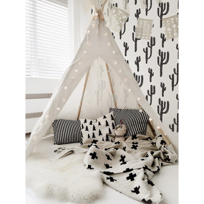 Fotobehang Scandinavische Cactus