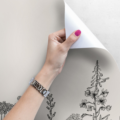 Fotobehang Zwart-witte weide