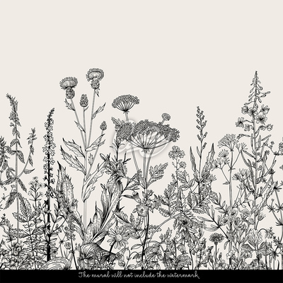 Fotobehang Zwart-witte weide