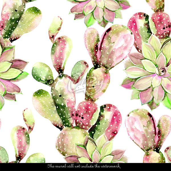 Fotobehang Kleurrijke cactus