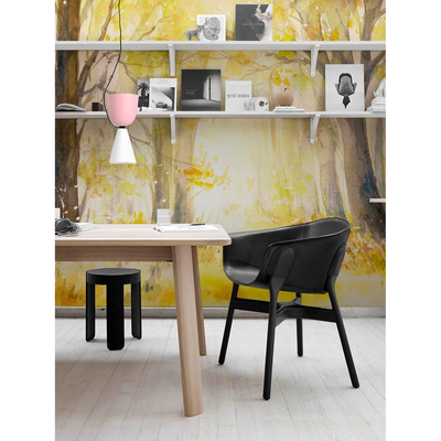 Fotobehang In het warme zonnige bos