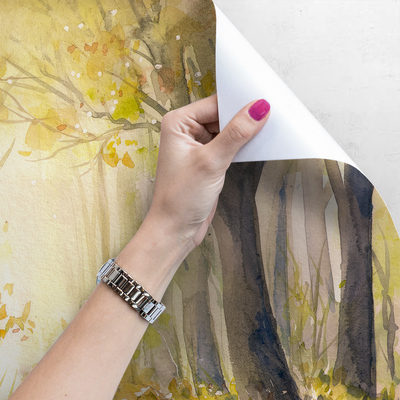 Fotobehang In het warme zonnige bos