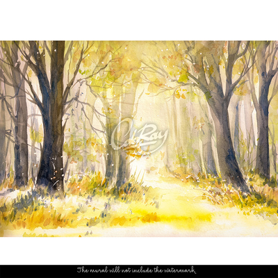 Fotobehang In het warme zonnige bos