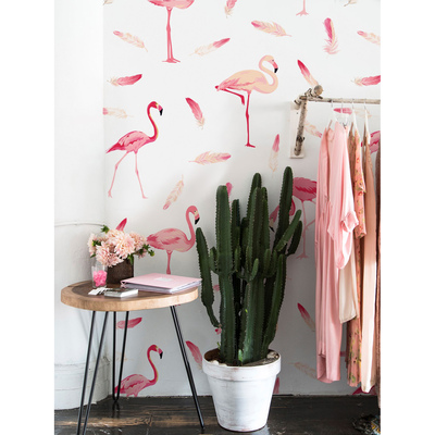 Fotobehang Flamingo's en veren