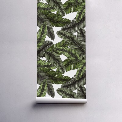 Fotobehang De aangename koelte van de paradijspalm