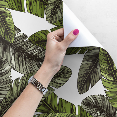 Fotobehang De aangename koelte van de paradijspalm