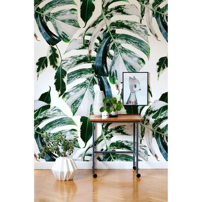 Fotobehang De magie van exotische bladeren